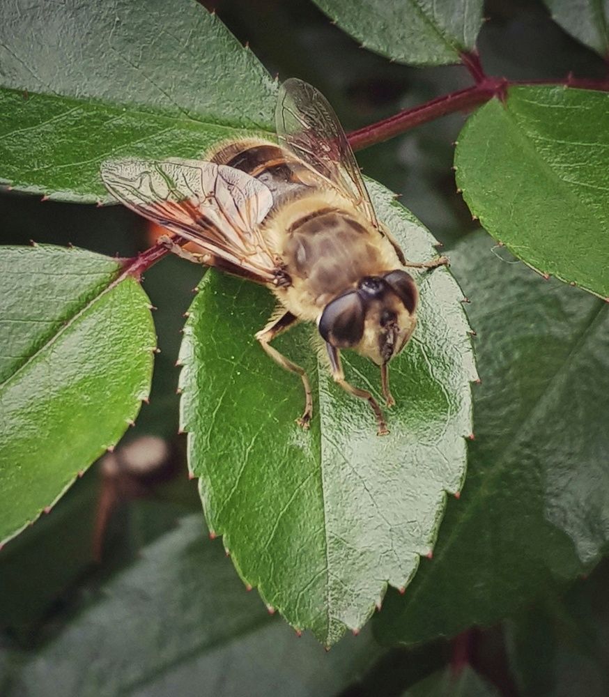 Photograph by Ольга