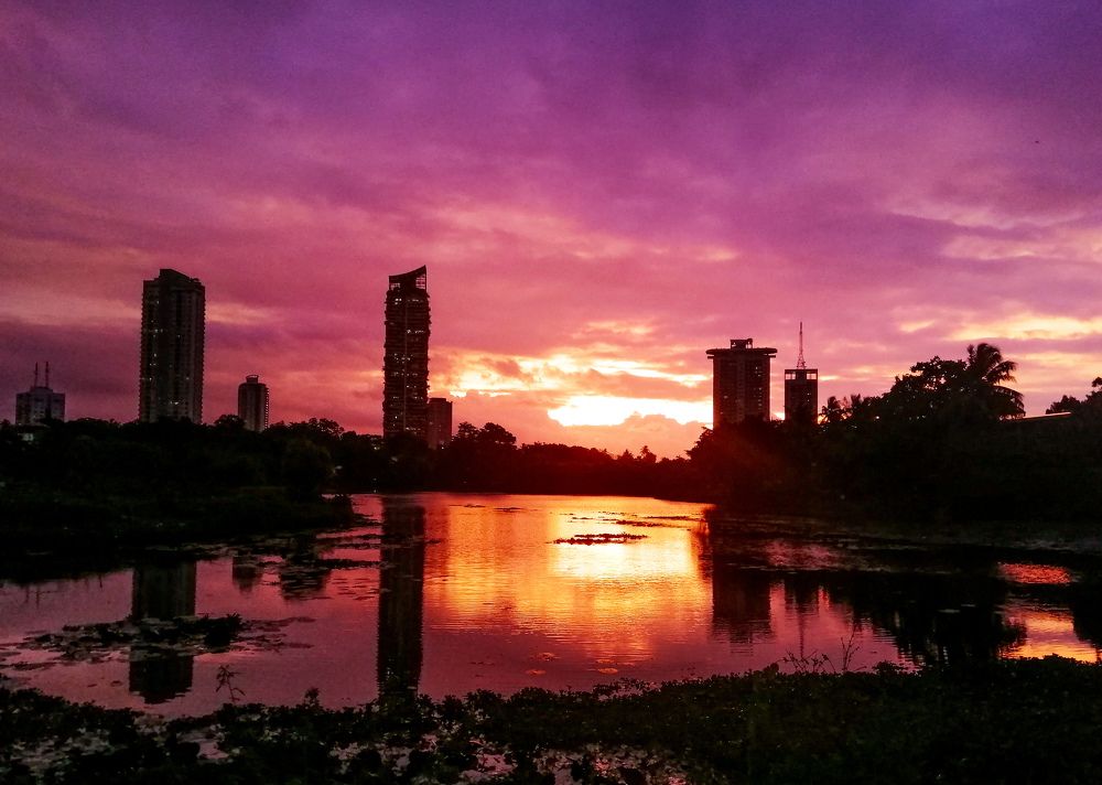 The beauty of an exodus