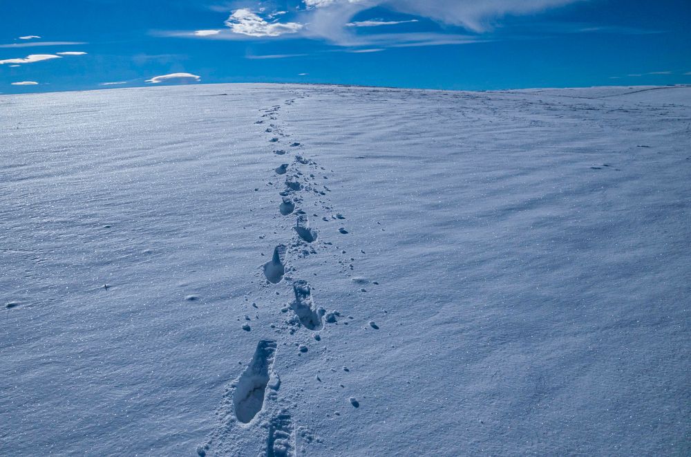 Photograph by Сергей Савчук