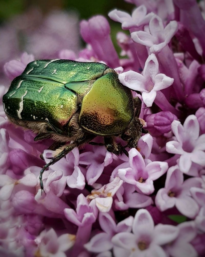 Photograph by Ольга