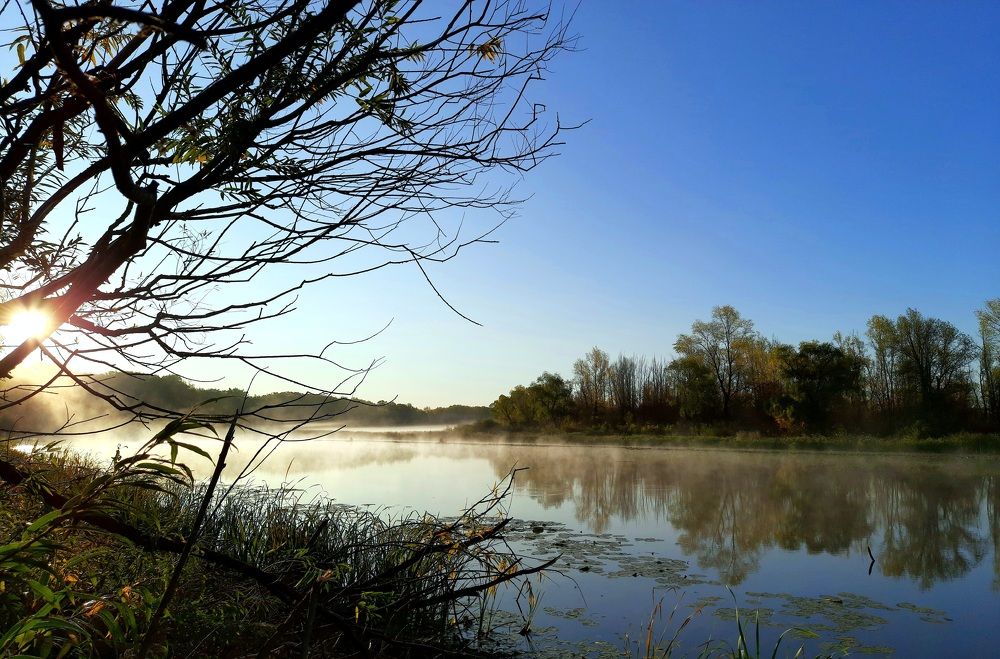 Photograph by Анжелика Сороколетова