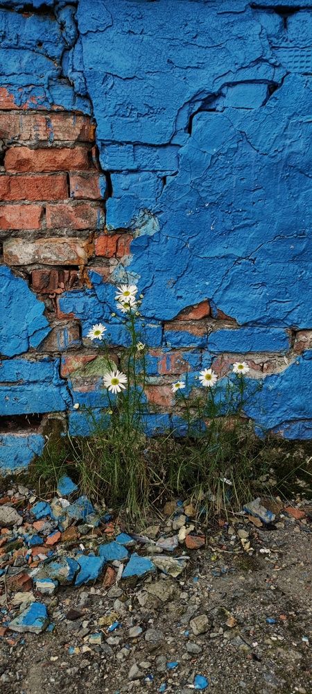 Photograph by Кристина Родина