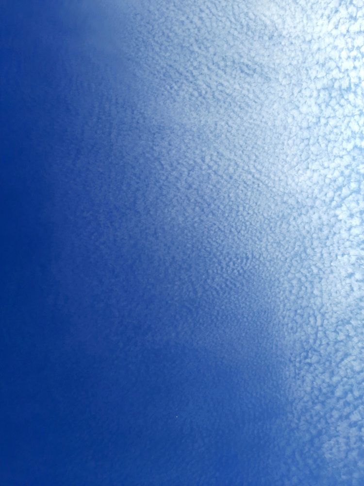 Photograph by Анжелика Сороколетова