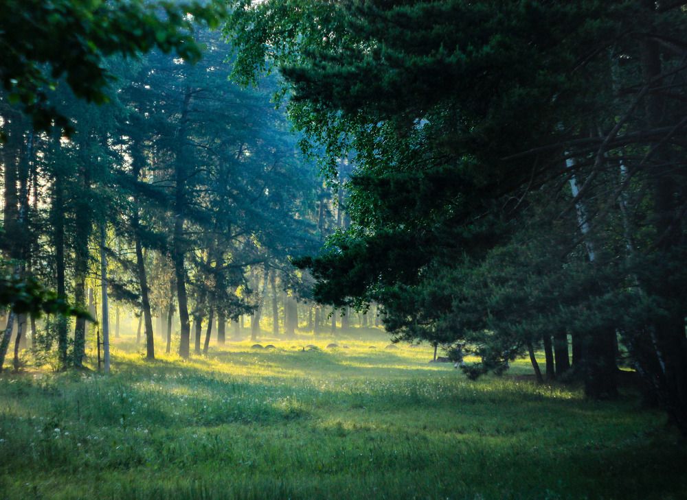 Летний вечер