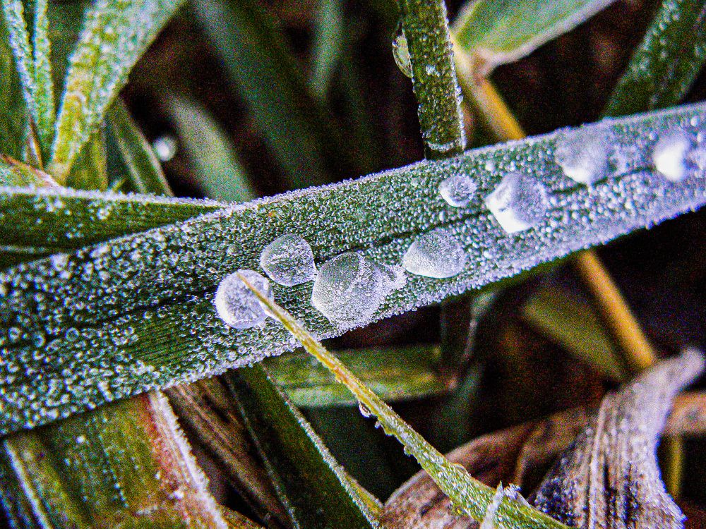 Photograph by Алексей Борисов