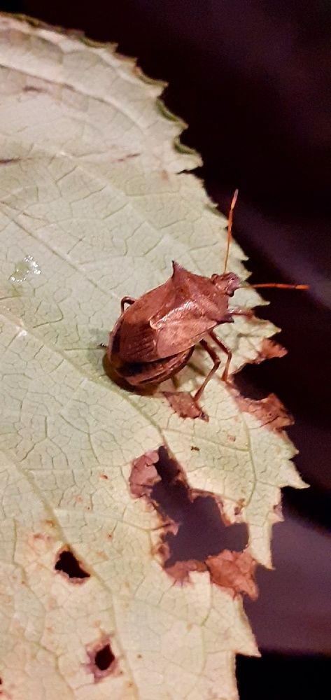 Photograph by Евгения Ульянова