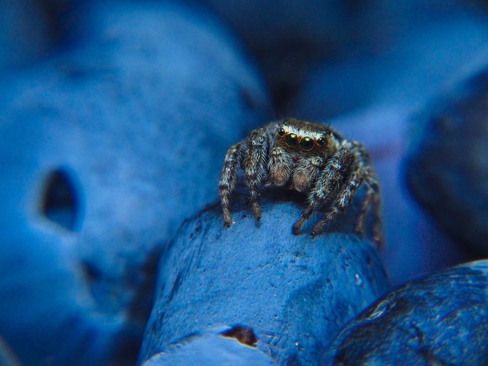 Photograph by Евгения Чепурная