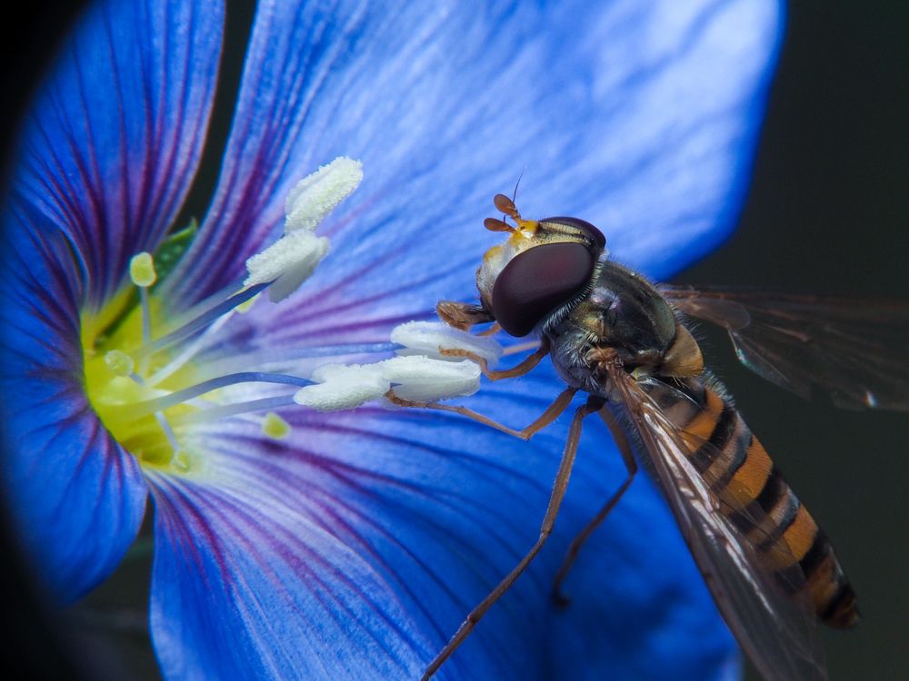 Photograph by Евгения Чепурная