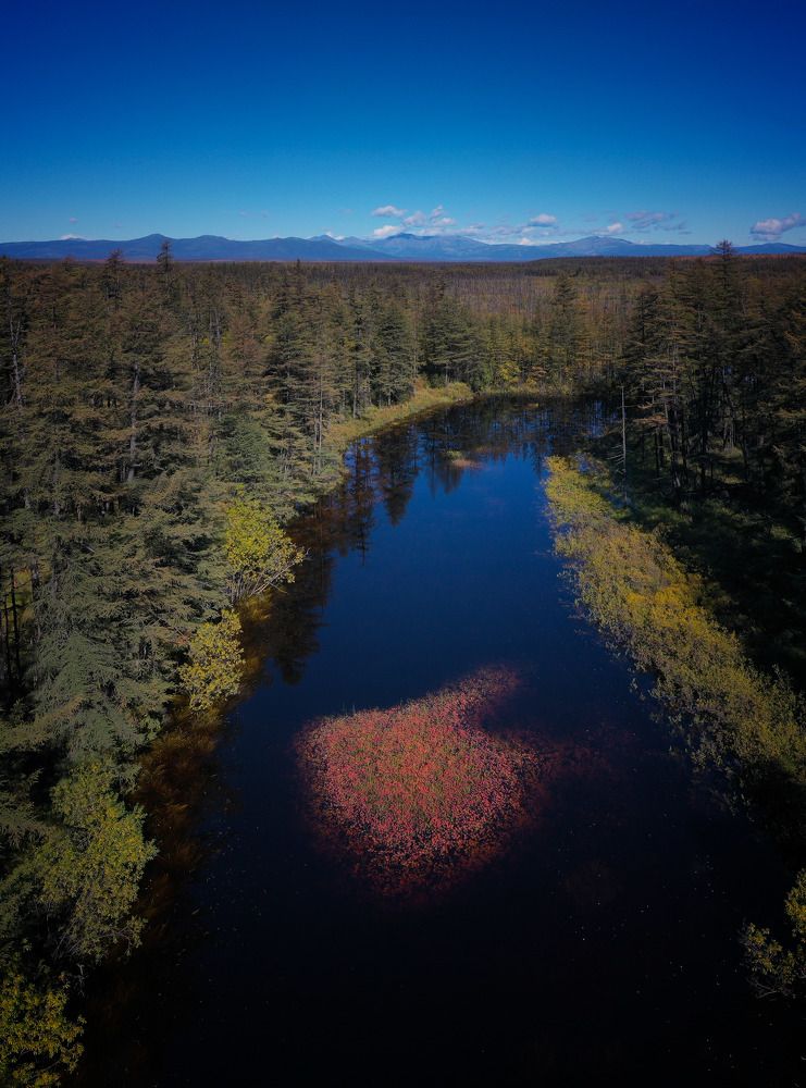 Сердце реки