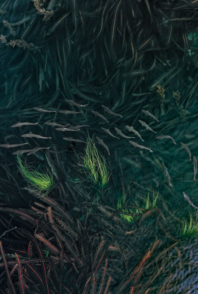 Photograph by Dydkovskiy