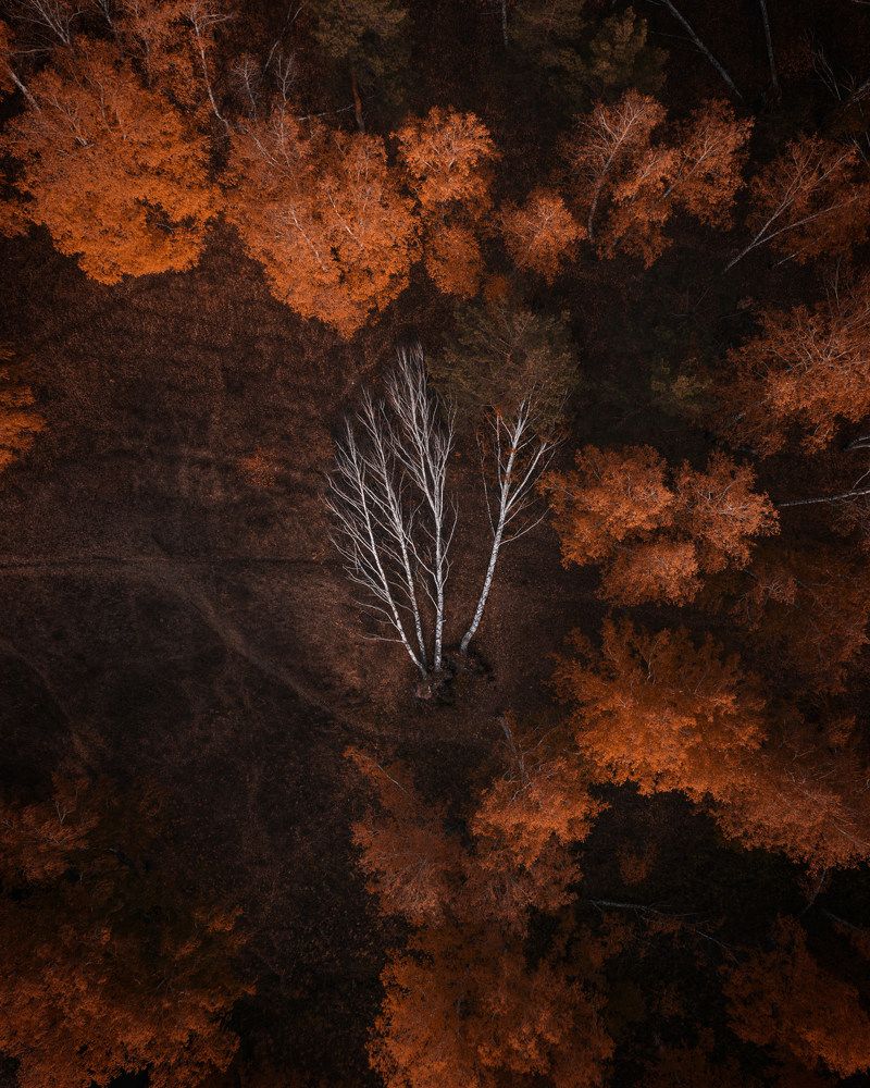 Фотография автора Евгений Кожин