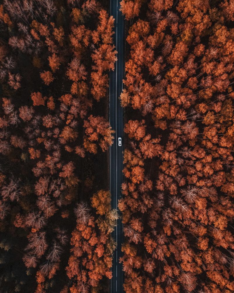 Фотография автора Евгений Кожин