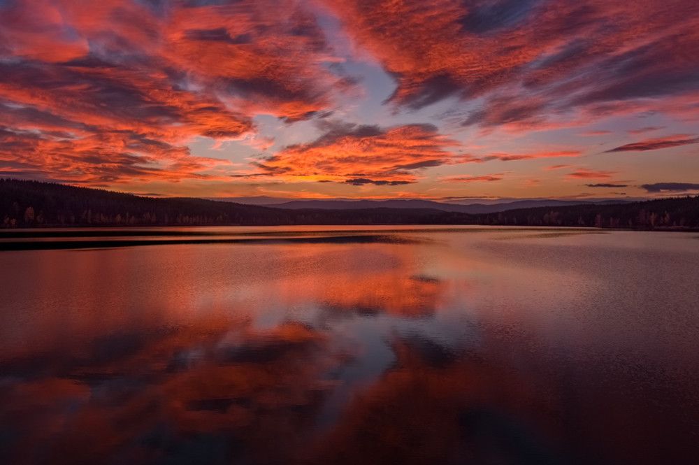 Фотография автора Евгений Кожин