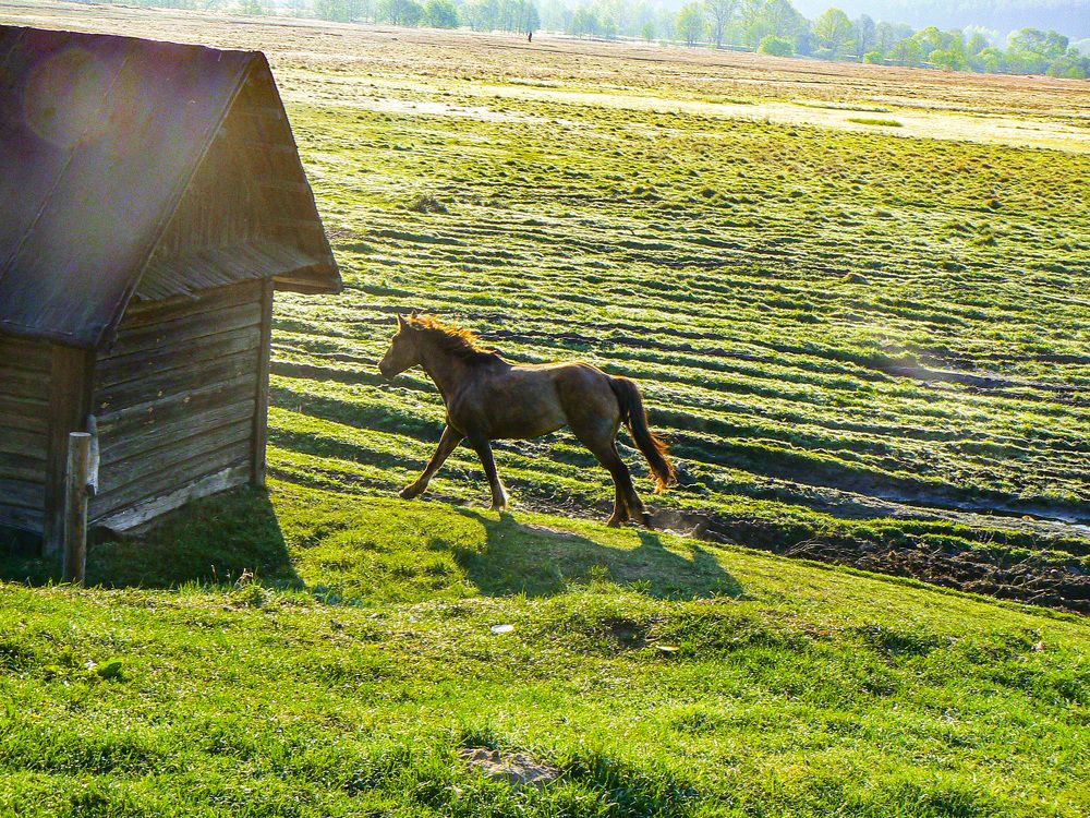 Photograph by Алексей Борисов