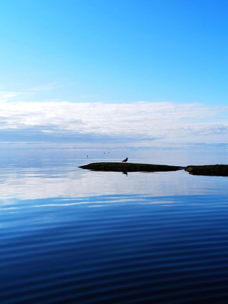 Photograph by Елена Артёменко