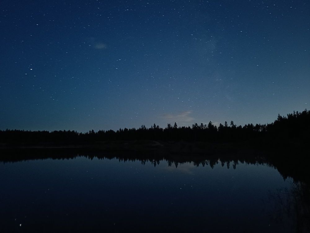 Photo #8026243