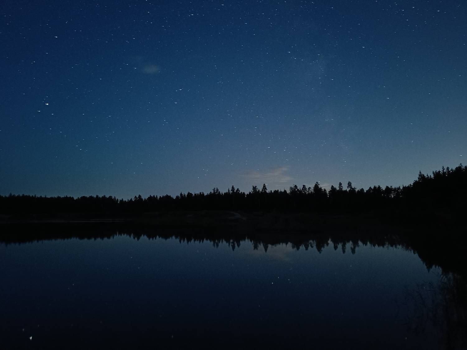 Photo #8026243