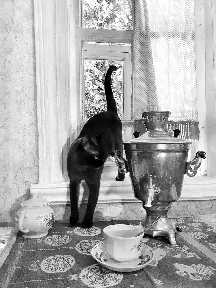 Фотография автора Надежда Лисицына