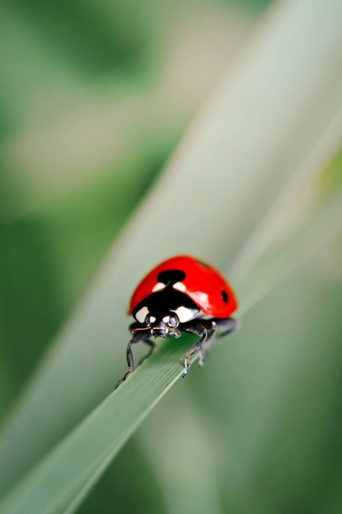 Фотография автора Summerlin