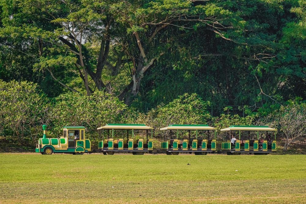 Photograph by Yannah Tekwie