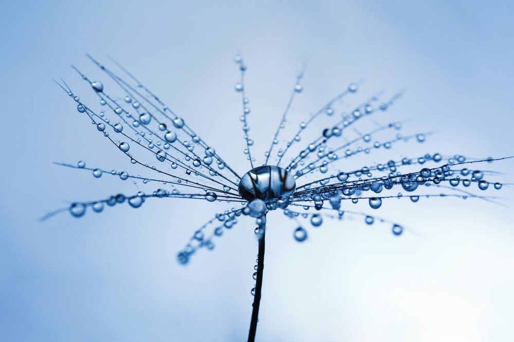 Фотография автора Summerlin