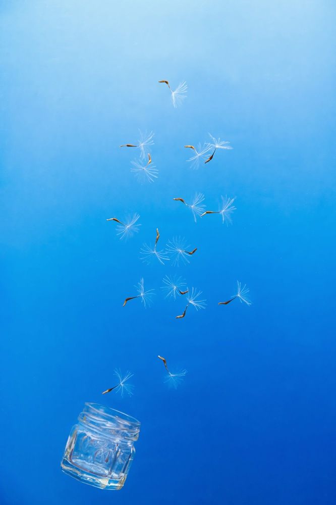 Фотография автора Summerlin