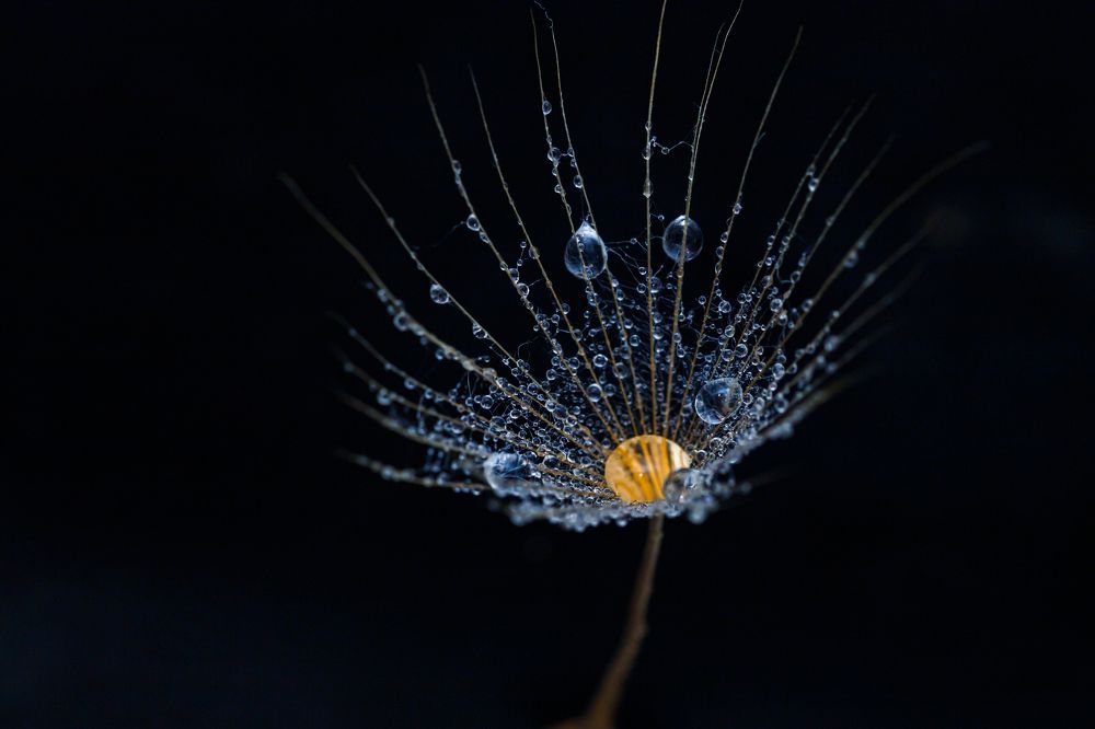 Фотография автора Summerlin