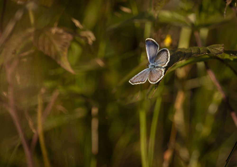 Photograph by Юлия Куликова