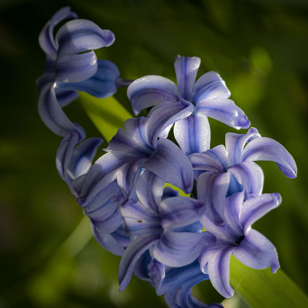 Фотография автора Юлия Куликова