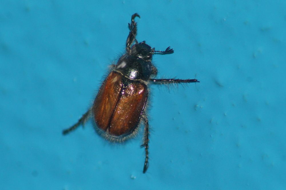 Photograph by Николай Николаевич Леухин