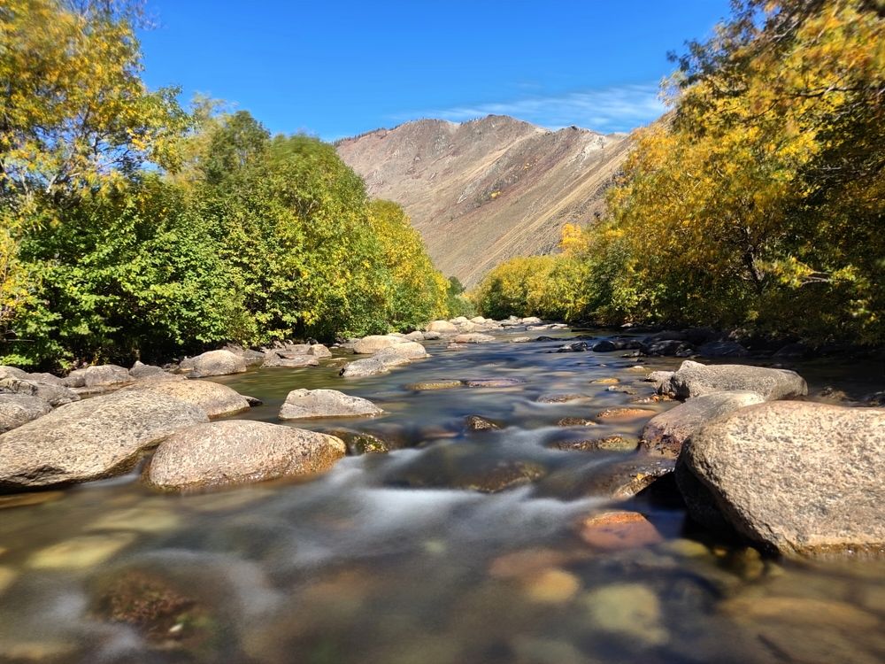 Photograph by Евгения Антонова