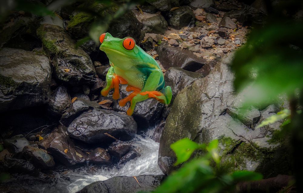 Photograph by daniel peterburg