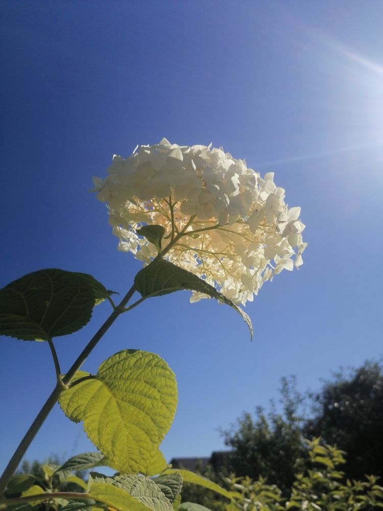 Photograph by Ирина Забродина