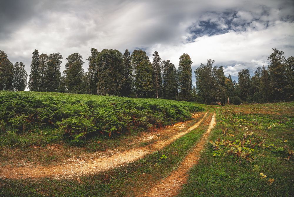 Photograph by Дмитрий Шавловский