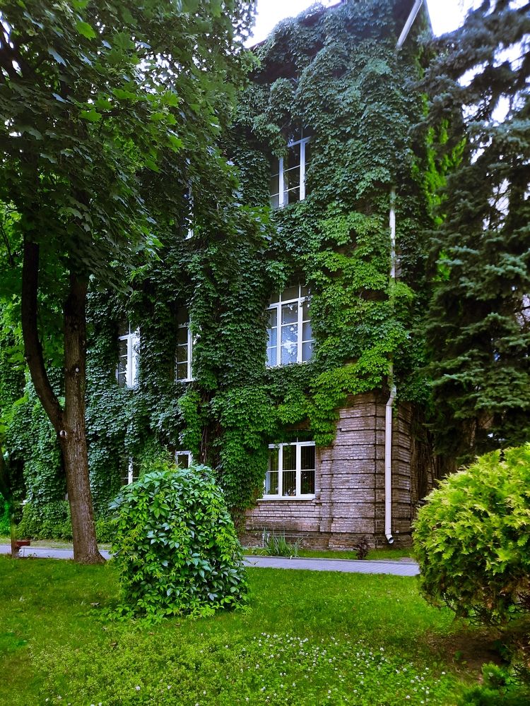 Photograph by Ириша Гайдель