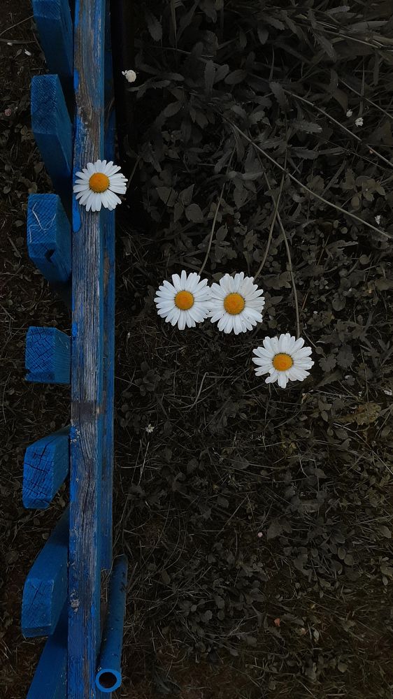 Photograph by Оксана Корепанова