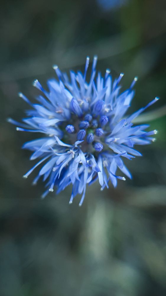 Photograph by Оксана Корепанова