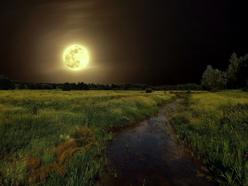 Photograph by Tatsiana Khinevich