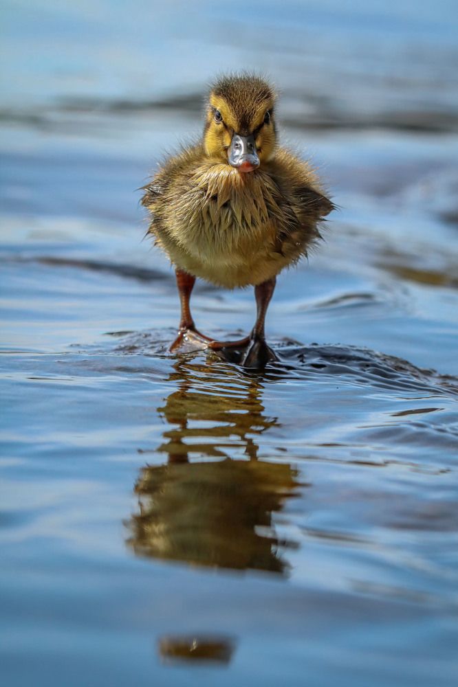 Photograph by Markéta Mastešová