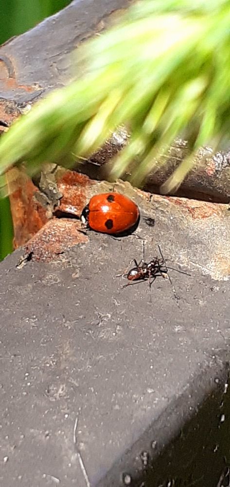 Photograph by Евгения Ульянова