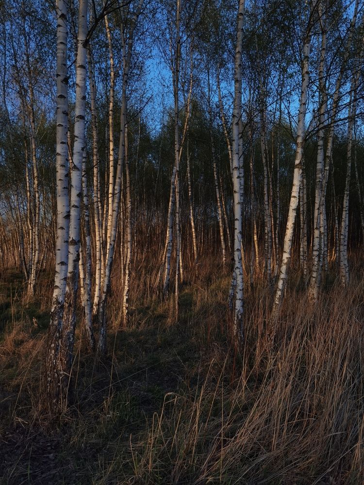 Photograph by Александр Гоцуляк