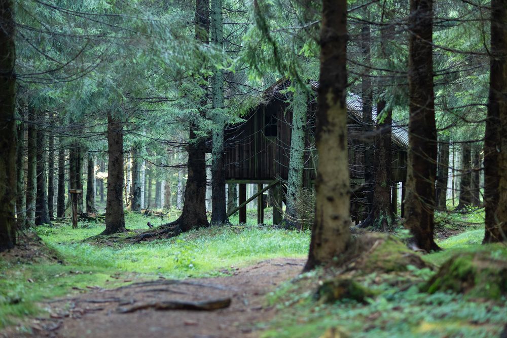 Photograph by Карина Онисенко