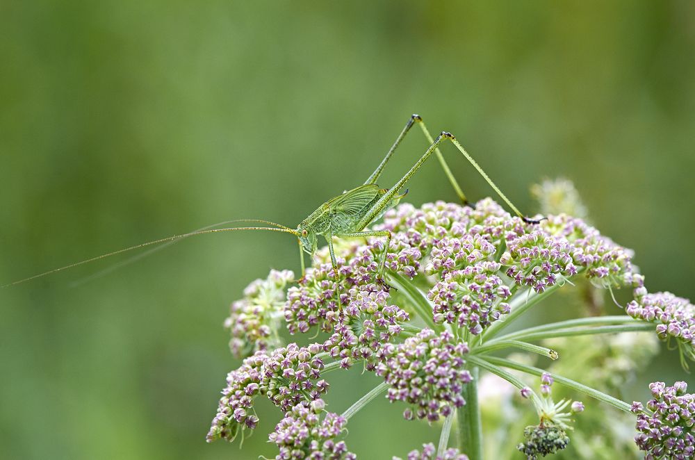 Photograph by Валерий