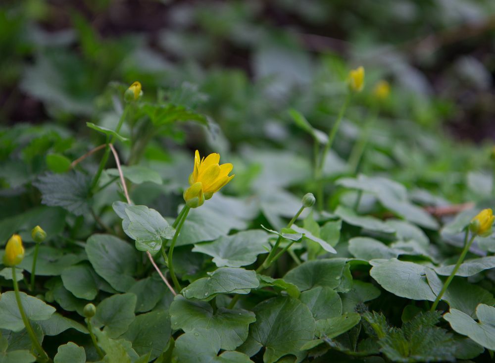 Photograph by Светлана Зайкова