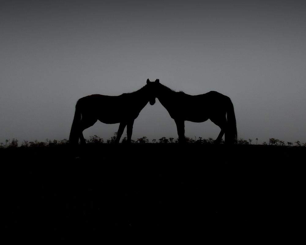 Photograph by seyed mostafa yousefi