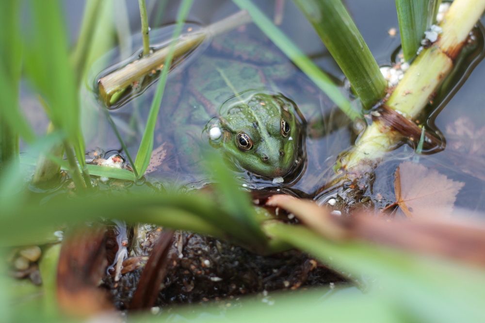 Photograph by Надежда Яковлева