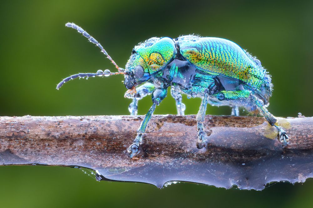 Photograph by Chen-You Li