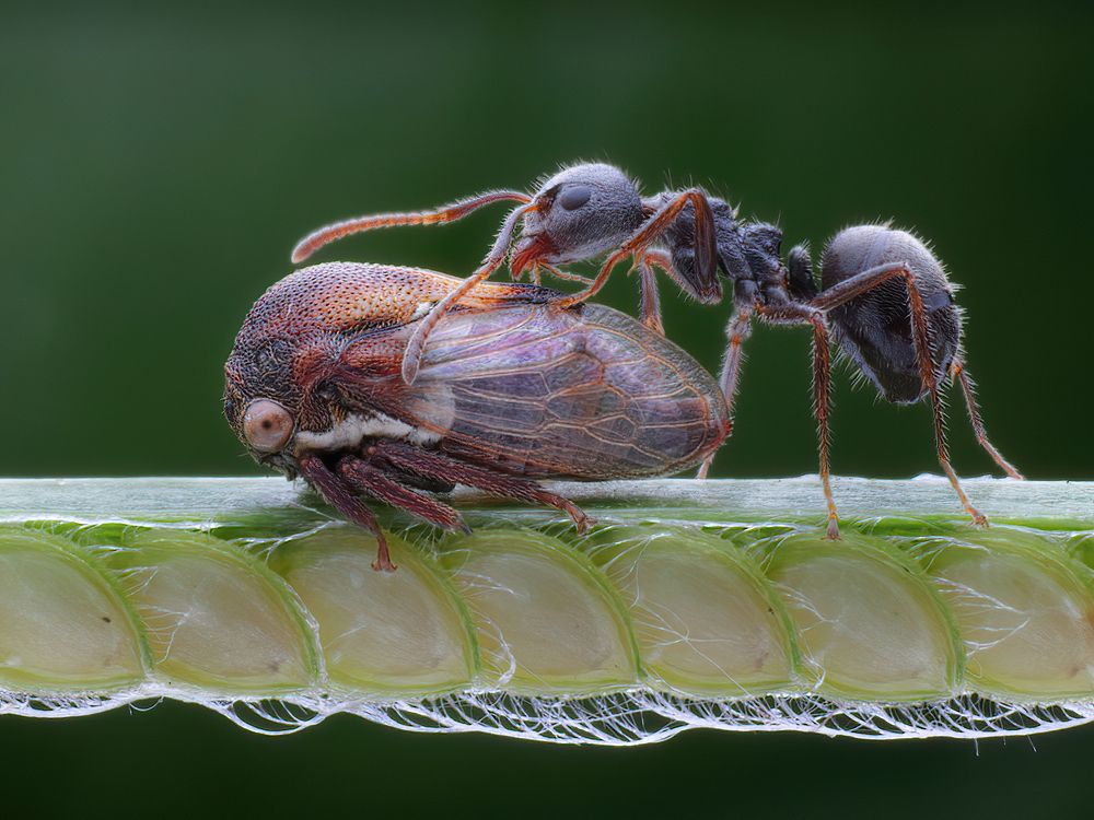 Photograph by Chen-You Li