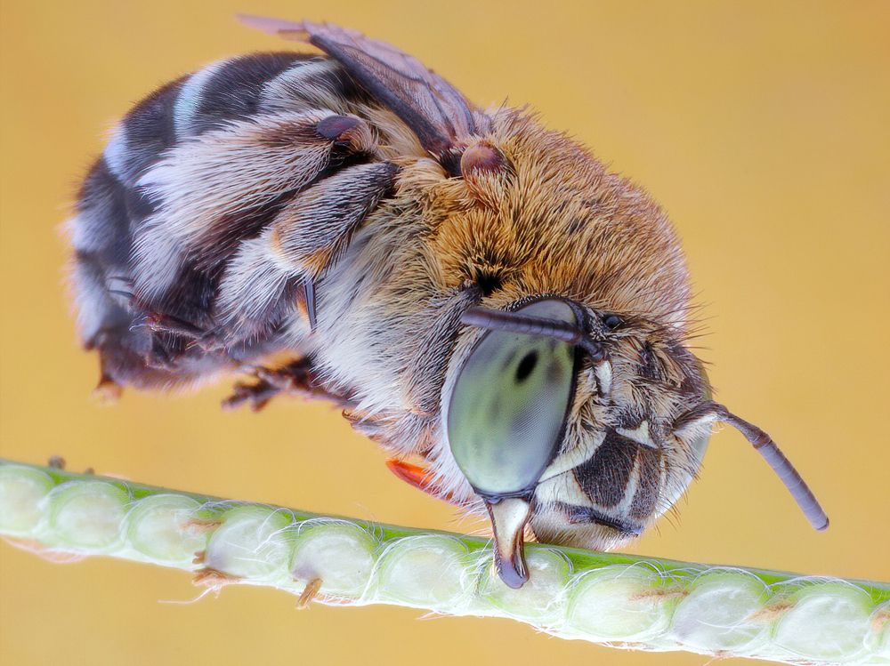 Photograph by Chen-You Li