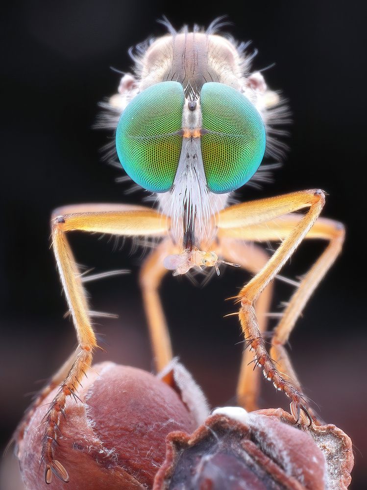 Photograph by Chen-You Li